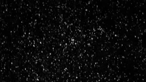 Real Snow, falling snow isolated on black background in 4K to be used for composing, motion graphics. - Footage, Video
