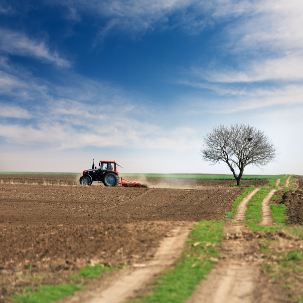 Transformación de terrenos con tractor
 - Foto, Imagen