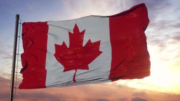 Vlag van Canada wapperend in de wind tegen diepe prachtige lucht bij zonsondergang - Video