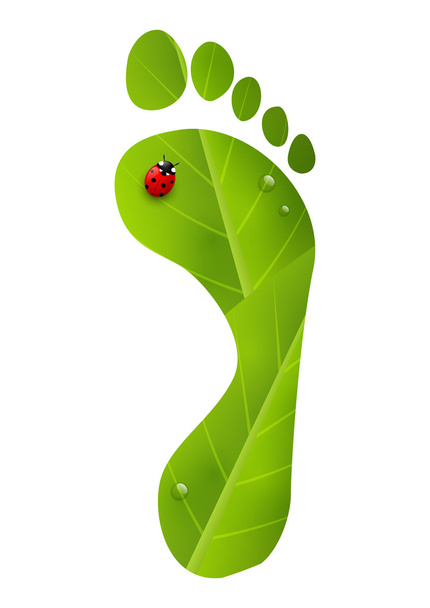 Green foot print with ladybug - Vector, Image