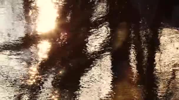 Golden sunset over the river. Reflection of sunlight and tree trunks in the flowing water. Nature background - Footage, Video