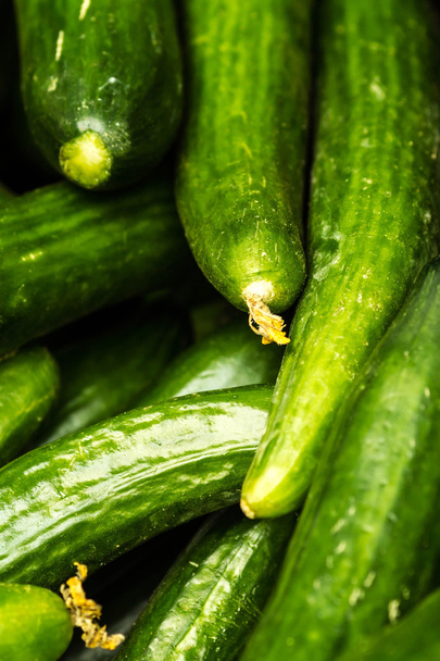 Cucumber  background - Fotografie, Obrázek