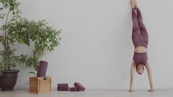 Amplio plano de hermosa yogui femenina caucásica de pie sobre sus manos cerca de la pared en el estudio de yoga y haciendo hacia abajo frente a la pose del árbol - Imágenes, Vídeo