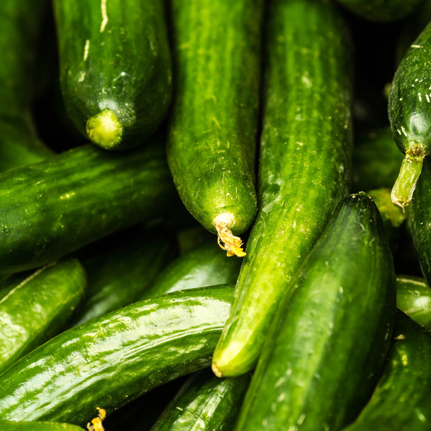 Fresh green cucumbers - Foto, Imagem