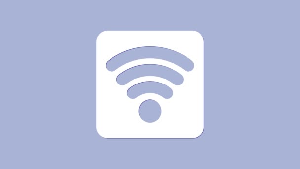 Белый Wi-Fi беспроводной интернет значок сети символов изолирован на фиолетовом фоне. Видеографическая анимация 4K - Кадры, видео