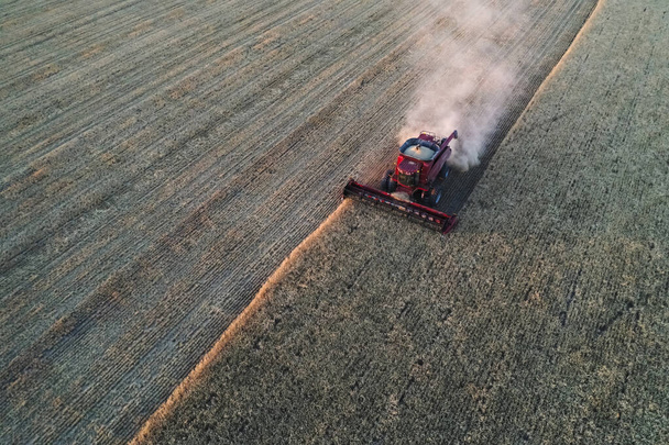 Vista aérea de la cosecha de cebada, en La Pampa, Argentina. - Foto, Imagen