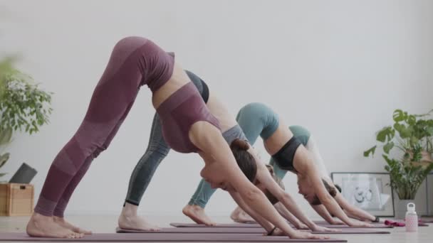 Breed schot van vier blanke vrouwelijke yogi die sportkleding dragen die neerwaartse honden poseren op yoga matten in de sportschool terwijl ze yoga training hebben - Video