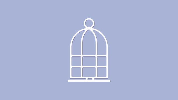 Біла клітка для ікони птахів ізольована на фіолетовому фоні. 4K Відеографічна анімація - Кадри, відео