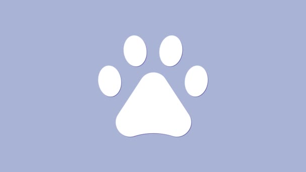 Icono de impresión de pata blanca aislado sobre fondo púrpura. Huella de pata de perro o gato. Rastreo animal. Animación gráfica de vídeo 4K - Imágenes, Vídeo