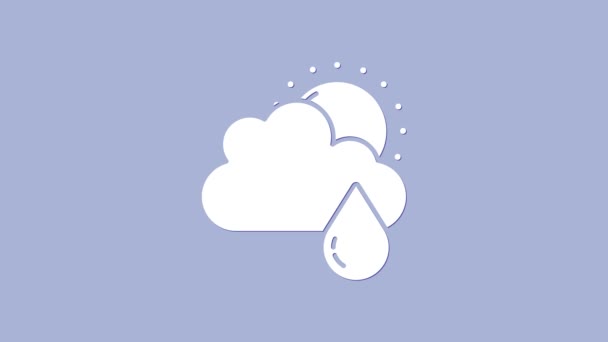 Biała chmura z ikoną deszczu i słońca na fioletowym tle. Deszczowe opady deszczu z kroplami deszczu. 4K Animacja graficzna ruchu wideo - Materiał filmowy, wideo