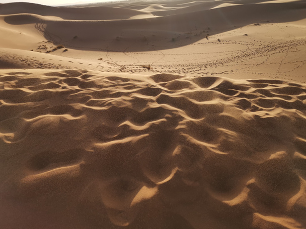 Viento en dunas del desierto Erg Chebbi, desierto del Sahara, Marruecos - Foto, Imagen