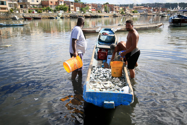 salvador, bahia, brazil - February 12, 2021: Movement of fishermen and customers in Porto das Sardinhas, in the region of Sao Joao do Cabrito, in Salvador. работы по коммерциализации рыбы на месте. - Фото, изображение