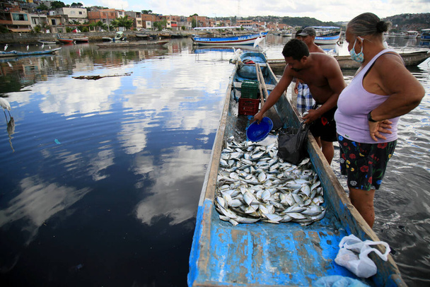 Salvador, bahia, Brazília - 2021. február 12.: Halászok és vevők mozgása Porto das Szardínián, Sao Joao do Cabrito régióban, Salvadorban. halforgalmazási munkák a helyszínen. - Fotó, kép