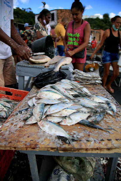 salvador, Bahia, Brasilien - 12. Februar 2021: Bewegung von Fischern und Kunden in Porto das Sardinhas, in der Region Sao Joao do Cabrito, in Salvador. Fischvermarktung funktioniert vor Ort. - Foto, Bild