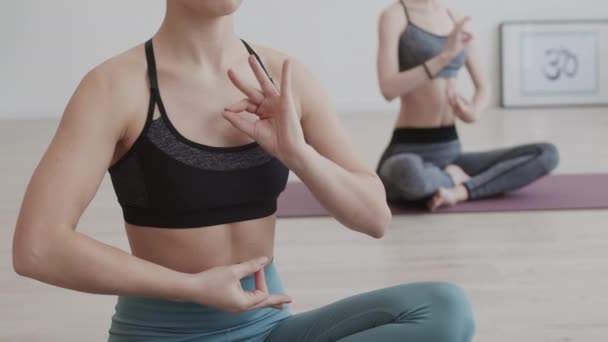 Yoga antrenmanı ve meditasyon sırasında yoga minderleri üzerinde çapraz pozisyonlarda oturan ve modaya uygun spor giysiler giyen tanınamayan bir çift kadın yogi kilitlendi. - Video, Çekim
