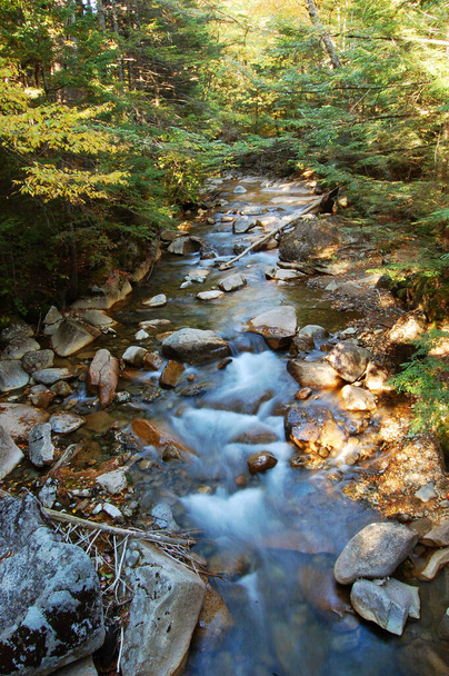 Brook in Franconia Notch State Park in the White Mountain National Forest of New Hampshire NH, Nowa Anglia, USA. - Zdjęcie, obraz