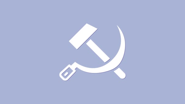 Bílé kladivo a srpkovitá ikona SSSR izolované na fialovém pozadí. Symbol Sovětského svazu. Grafická animace pohybu videa 4K - Záběry, video