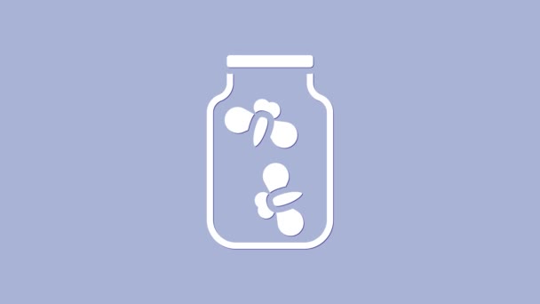 Insetti di lucciole bianche in un'icona di vaso isolata su sfondo viola. Animazione grafica 4K Video motion - Filmati, video