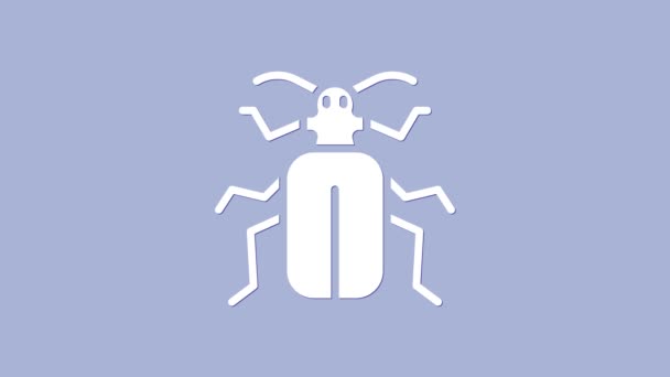 Witte Chafer kever pictogram geïsoleerd op paarse achtergrond. 4K Video motion grafische animatie - Video