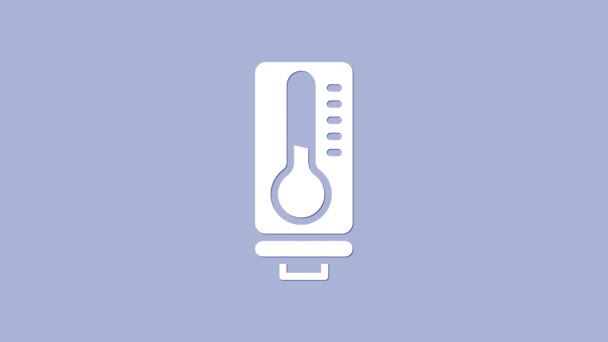Белый метеорологический термометр, измеряющий тепло и холод, изолированный на фиолетовом фоне. Термометр показывает жаркую или холодную погоду. Видеографическая анимация 4K - Кадры, видео