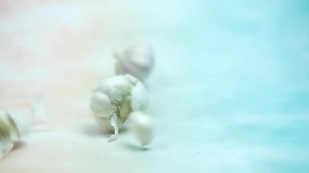 Fresh garlic rolling in slow motion and panning shot. Close-up. - Footage, Video