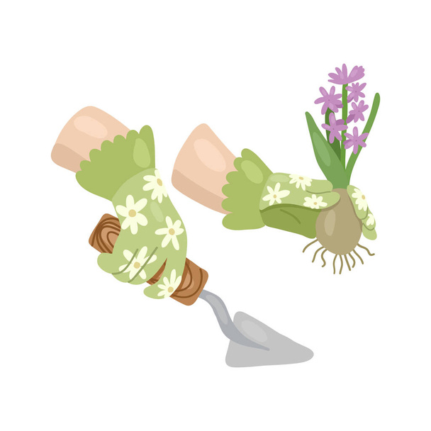 Las manos que plantan el jacinto. Jardinería vector ilustración dibujada a mano. - Vector, imagen