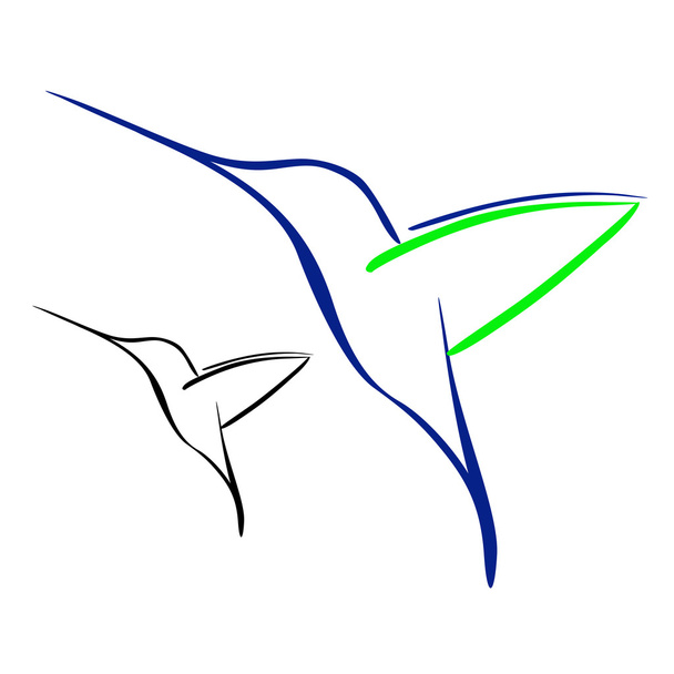 Hummingbird - Вектор,изображение