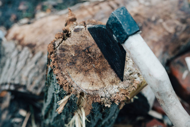 hacha en el tocón del árbol cortar madera al aire libre viaje - Foto, imagen