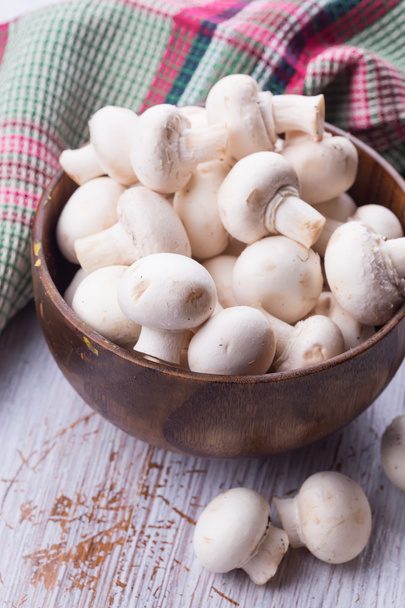 Fresh mushrooms - Foto, immagini