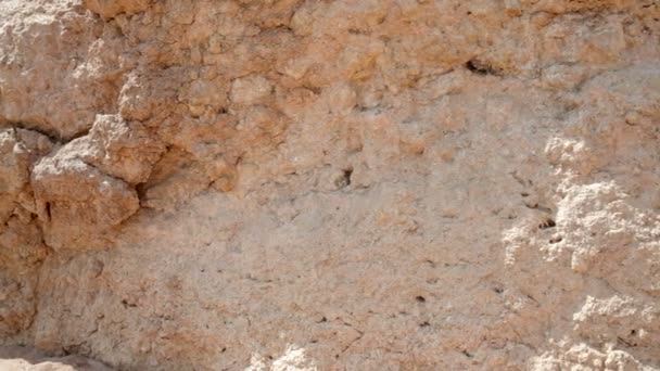gyönyörű homokos textúra függőleges falon - Felvétel, videó