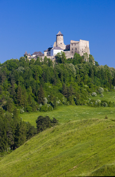 Castillo de Stara Lubovna, Eslovaquia
 - Foto, Imagen