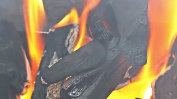 Preparazione per barbecue su carbone in fiamme in braciere di ferro - Filmati, video