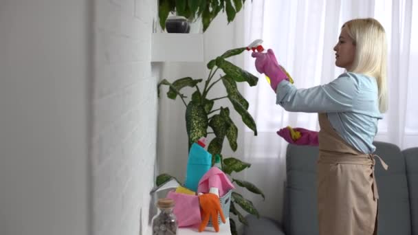 La mujer con guantes protectores sonríe y limpia el polvo con un aerosol y un plumero mientras limpia su casa, de cerca - Metraje, vídeo