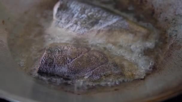 Paistaminen Tilapia kala kuumalla öljyllä teräspannulla ruoanlaitto. Thai kotitekoinen ruoka - Materiaali, video