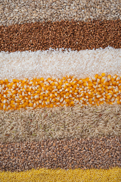 háttér gabonafélékből  - Fotó, kép