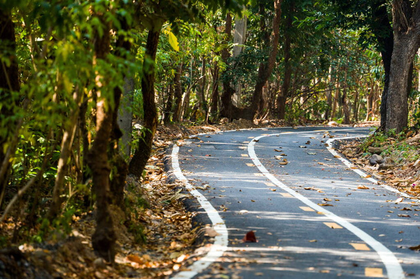 Estrada de asfalto na floresta, chiang ma - Foto, Imagem