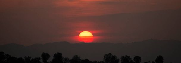 Typisch panorama zonsondergang Afrikaans landschap met bomen. Boom silhouet tegen een grote oranje ronde ondergaande zon. Donkere boom op open veld dramatische zonsopgang. Lucht bij dageraad met wolken, schemering achtergrond. - Foto, afbeelding