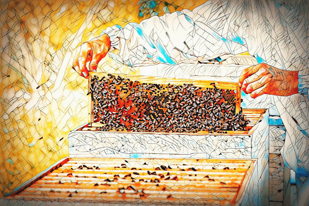 Mehiläishoitaja manipuloi hunajaa täynnä kultaista hunajaa.. - Valokuva, kuva