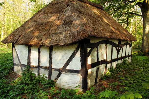 rieten cottage hut - Foto, afbeelding