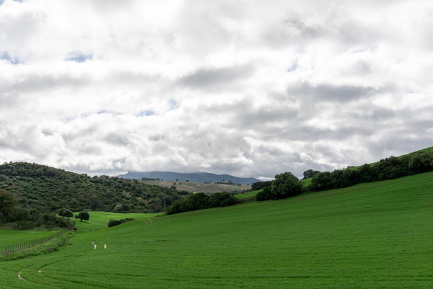 Wzgórza i pola uprawne z polami i lasami w zielonym i urodzajnym andaluzyjskim zapleczu - Zdjęcie, obraz