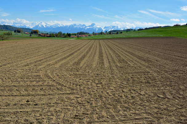The Swiss Village Surrounded and Plowed Fields - Foto, afbeelding