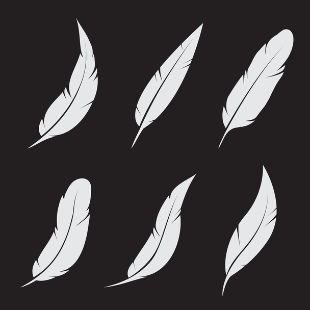Vector group of feather  - Vector, Image
