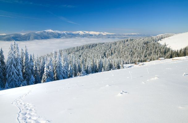 Paysage de montagne d'hiver - Photo, image