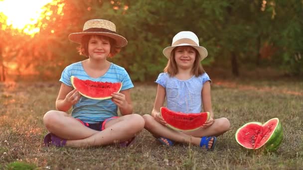 Twee kleuterschoolse lachende zusje die watermeloen eet in het zomerpark met zonsondergang - Video