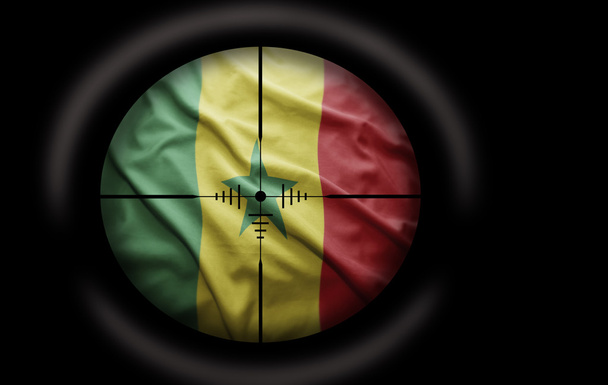 Senegalese Target - Photo, Image