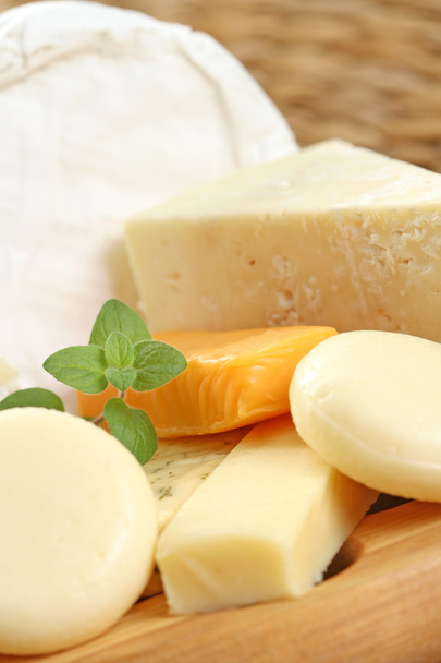 peynir yönetim kurulu - Fotoğraf, Görsel