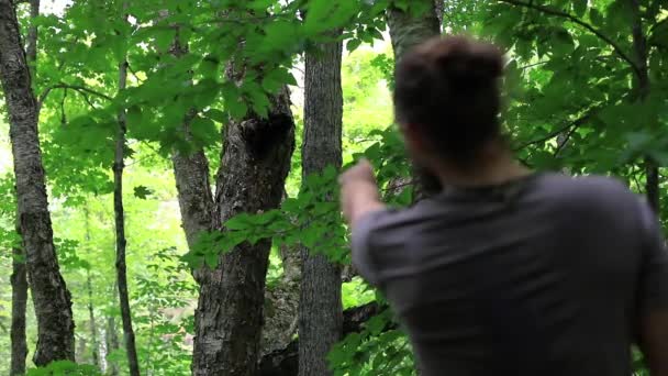 Kanada ormanında mantar mantarı. - Video, Çekim