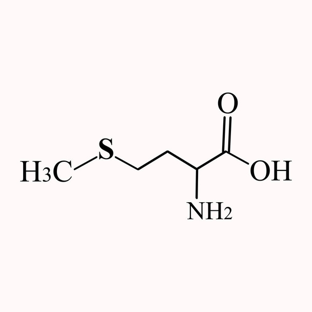 Метионин это аминокислота. Химическая молекулярная формула метиониновой аминокислоты. Векторная иллюстрация на изолированном фоне - Вектор,изображение