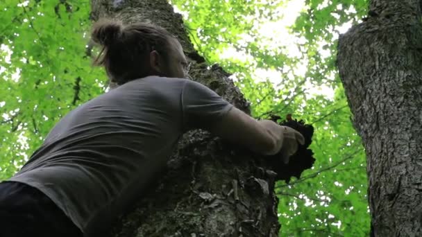 Mushrooming in the Canadian forest - Footage, Video