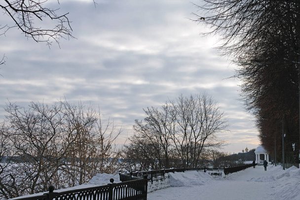 Зимняя заснеженная набережная с деревьями - Фото, изображение